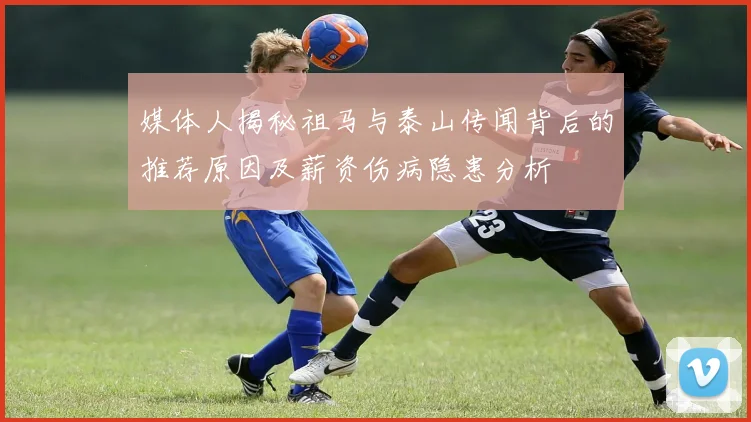 媒体人揭秘祖马与泰山传闻背后的推荐原因及薪资伤病隐患分析