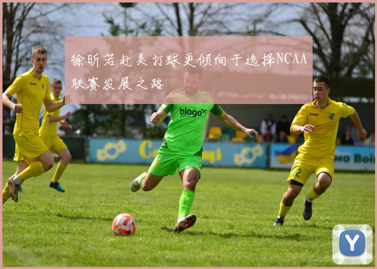 徐昕若赴美打球更倾向于选择NCAA联赛发展之路