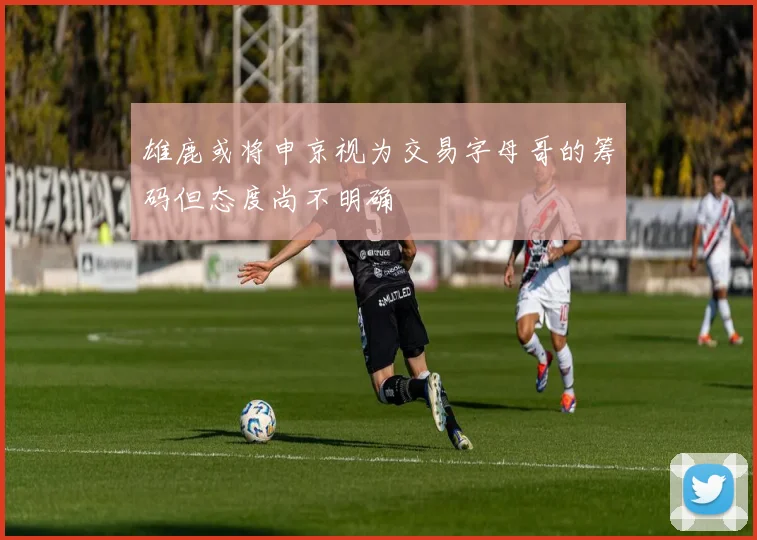 雄鹿或将申京视为交易字母哥的筹码但态度尚不明确